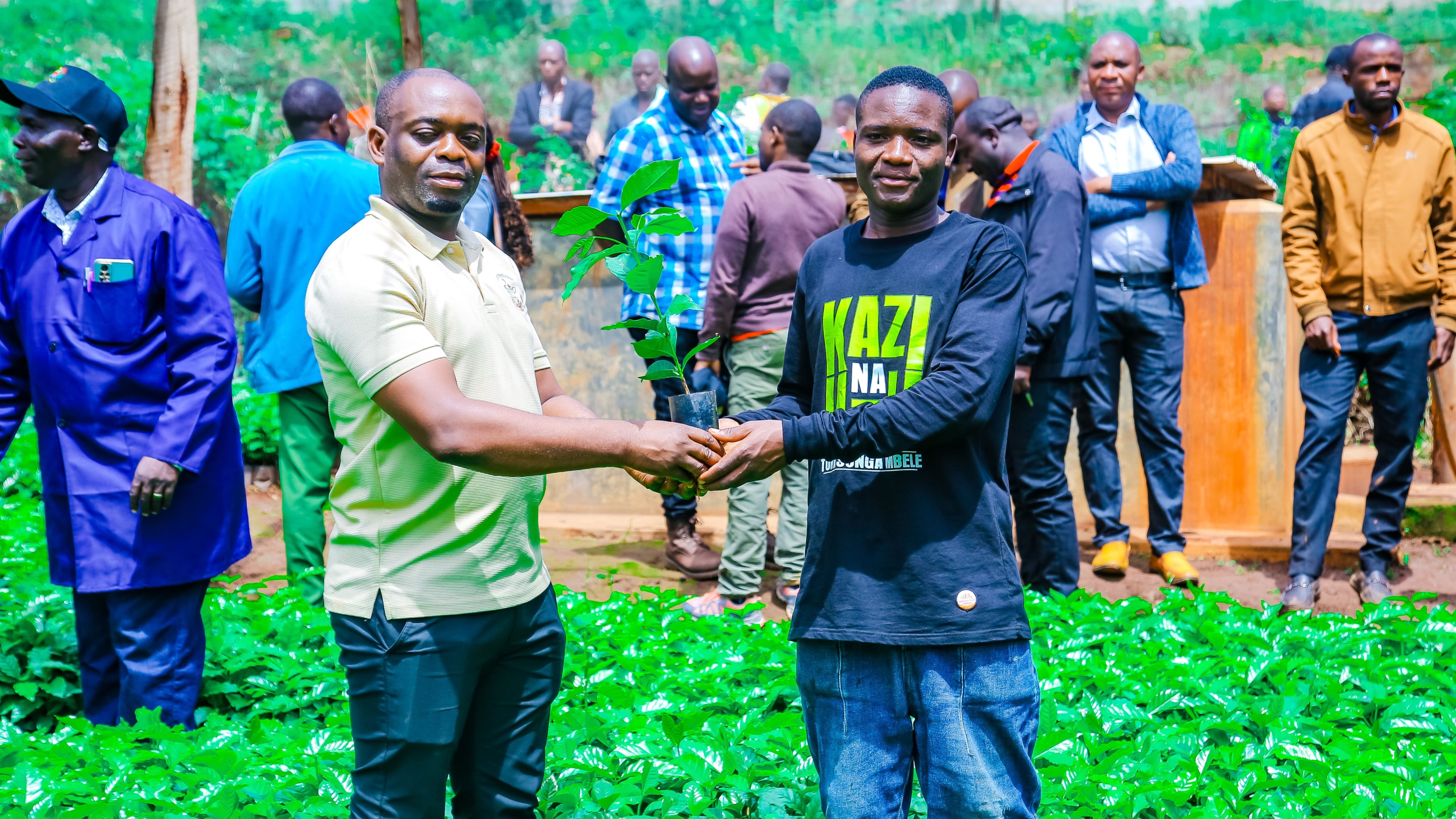 TCB KUGAWA MICHE MILIONI 20 BU...